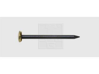 Bildernägel mit Messingkopf 2x40 Stahl gebläut (10 Stück) - 977 622 40 80 Bildernägel mit Messingkopf 2x40 Stahl gebläut (10 Stück) - 977 622 40 80