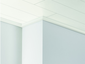 Deckenleiste DAL 1 Seidenmatt Weiss Dekor 2200x40x20mm Deckenleiste DAL 1 Seidenmatt Weiss Dekor 2200x40x20mm