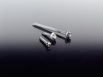 Edelstahlschrauben 4,8x32mm TX-Antrieb Edelstahlschrauben 4,8x32mm TX-Antrieb
