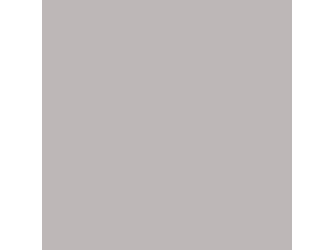 Melaminbeschichtete Platte DecoBoard P2 U12044 Delphingrau, SD Melaminbeschichtete Platte DecoBoard P2 U12044 Delphingrau, SD