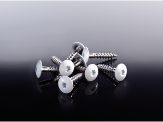 Montageschrauben V2A 9010 5,5x45mm TX-Aufnahme weiß Montageschrauben V2A 9010 5,5x45mm TX-Aufnahme weiß