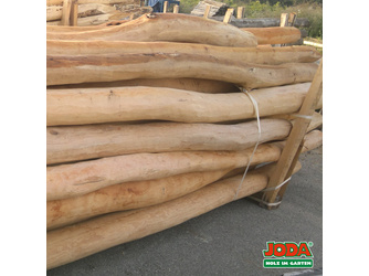 Robinien-Rundholz Ø12-14 cm naturgewachsen, entsplintet, geschliffen Robinien-Rundholz Ø12-14 cm naturgewachsen, entsplintet, geschliffen