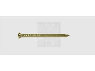 Rundkopfstifte 2x16 Stahl vermessingt (100 Stück) - 977 72 16 30 Rundkopfstifte 2x16 Stahl vermessingt (100 Stück) - 977 72 16 30