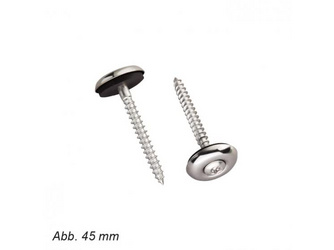 Spenglerschrauben aus Edelstahl Torx 4,5x45 mm mit 20 mm Dichtung Spenglerschrauben aus Edelstahl Torx 4,5x45 mm mit 20 mm Dichtung