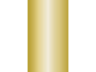 Twin Ausgleichs-Profil PF 486 Alu gold eloxiert Twin Ausgleichs-Profil PF 486 Alu gold eloxiert