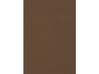 ABS Kanten, Brushed Metal bronze F528 ST20, 75000x23x0,8mm