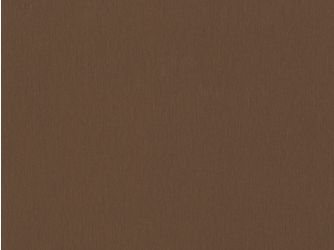 ABS Kanten, Brushed Metal bronze F528 ST20, 75000x23x0,8mm