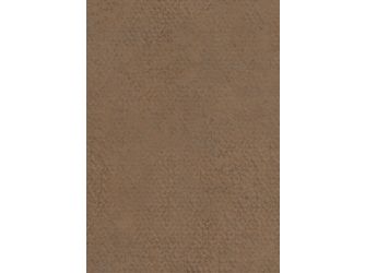 ABS Kanten, Cobra bronze F323 ST20, 75000x23x2mm