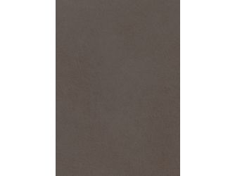 ABS Kanten, Steelbrush cubanit F434 ST20, 75000x23x0,8mm