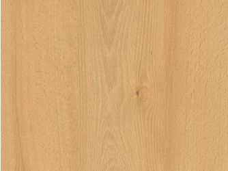 ABS Kanten, Weidbuche H1910 ST9, 75000x23x0,8mm