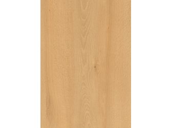 ABS Kanten, Weidbuche H1910 ST9, 75000x28x0,8mm