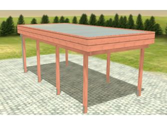 Carport Variant 3x6 Douglasie Alu-GT