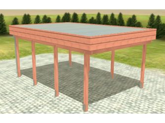 Carport Variant 4x5,5 Douglasie Alu-GT