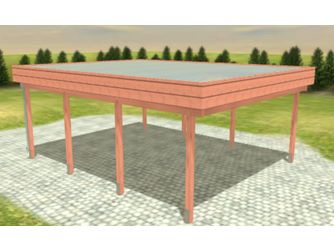 Carport Variant 5x6 Douglasie Alu-GT