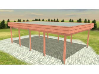 Carport Variant 5x8 Douglasie Alu-GT