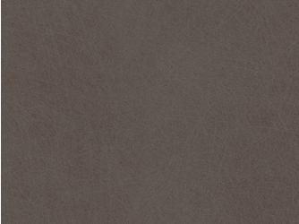 Dekorative Spanplatten E1E05 P2, Steelbrush cubanit F434 ST20, 2800x2070x19mm