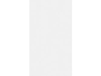 Dekorpaneele MeisterPaneele. bocado DP 250 1280x250x12mm 20126 White wall