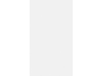 Dekorpaneele MeisterPaneele. terra DP 250 1280x250x12mm 20096 Polar white