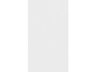 Dekorpaneele MeisterPaneele. terra DP 250 1280x250x12mm 20097 White pearl