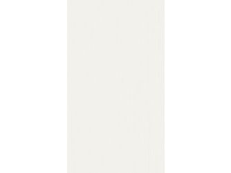 Dekorpaneele MeisterPaneele. terra DP 250 2600x250x12mm 20102 Snow white wood