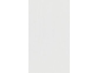 Dekorpaneele MeisterPaneele. terra DP 250 4100x250x12mm 20101 White mesh