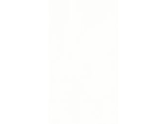 Dekorpaneele MeisterPaneele. tertio DP 200 2600x200x9,5mm 20128 Swedish white