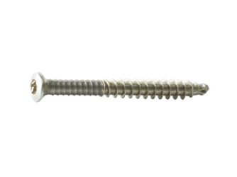 Edelstahlschraube V2A 5,5 x 40 mm