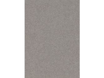 Eurodekor Spanplatten beschichtet E1E05 P2, Canvas grau F634 ST76, 2800x2070x19mm