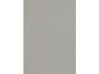 Eurodekor Spanplatten beschichtet E1E05 P2, Silbergrau gebürstet F765 ST20, 2800x2070x19mm