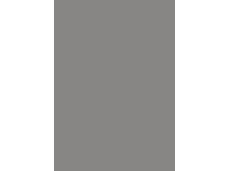 FENIX Kompaktarbeitsplatte (Kern schwarz) FX0752 NTM grigio antrim 4150x635x12mm FENIX Kompaktarbeitsplatte (Kern schwarz) FX0752 NTM grigio antrim 4150x635x12mm