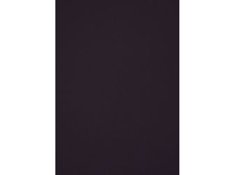 FENIX Kompaktarbeitsplatte (Kern schwarz) FX0790 NTM viola orissa 4150x635x12mm FENIX Kompaktarbeitsplatte (Kern schwarz) FX0790 NTM viola orissa 4150x635x12mm