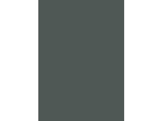 FENIX Thin Kern braun 3050x1300mm FX0750 NTM verde comodoro FENIX Thin Kern braun 3050x1300mm FX0750 NTM verde comodoro