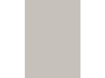 Fenix Rückwände FX0725 NTM grigio efeso 3050x585x13,9mm Fenix Rückwände FX0725 NTM grigio efeso 3050x585x13,9mm