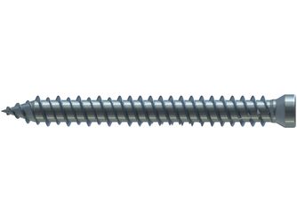 Fensterrahmenanker RN 0194 Zylkopf 8mm TX30 Doppelganggewinde Stahl verzinkt blau passiviert Fensterrahmenanker RN 0194 Zylkopf 8mm TX30 Doppelganggewinde Stahl verzinkt blau passiviert