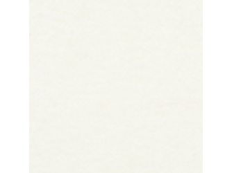 Kunststoffkante Standard Haftvermittler 1J42 GLATT Dekor ABS