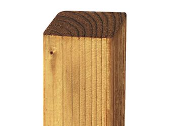 Latte Altmark Kopf abgeschrägt KD+ braun