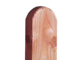 Latte Nordik Douglasie