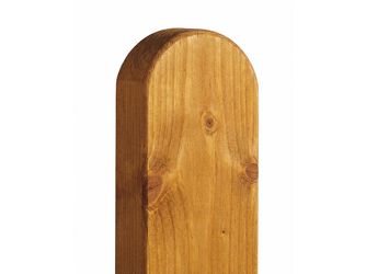 Latte Nordik Douglasie transparent lasiert -kiefer-