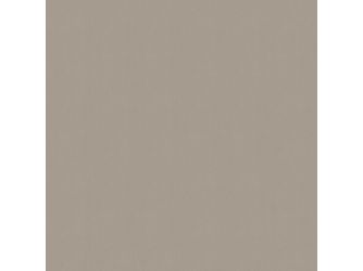 Melam.Platten DecoBoard P2 F76160 Alux champagner, SE