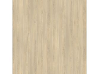 Melam.Platten DecoBoard P2 R24029 Fjord Buche hell, FL