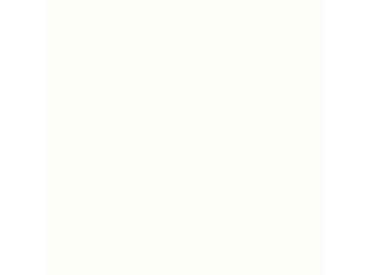Melaminbeschichtete Platte DecoBoard P2 W10300 Weiß, MP Melaminbeschichtete Platte DecoBoard P2 W10300 Weiß, MP