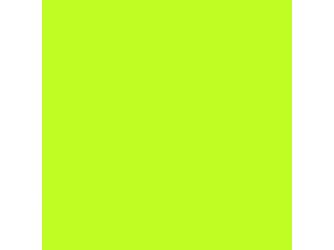 Melaminbeschichtete Spanplatte P2 U2509 VL Lime 2800x2070x19mm