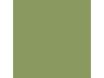 Melaminbeschichtete Spanplatte P2 U4439 VL Pistachio Green 2800x2070x19mm