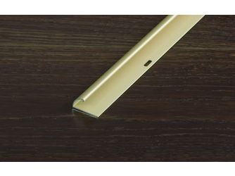 PROFACE Einfassprofil 25x9mm selbstklebend Aluminium eloxiert