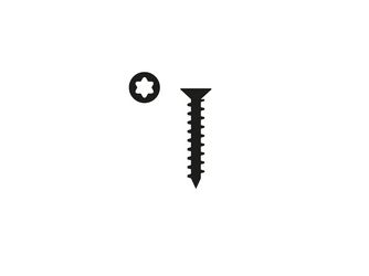 Schrauben FN Acustico 4,2x30mm, TX20, Schwarz (RAL9005), 1VE=50 stk im Karton