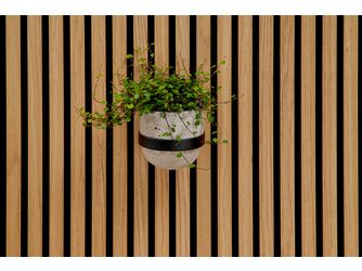 SilentDesign LivingWall Function Blumenring Soeren 125x30x125mm