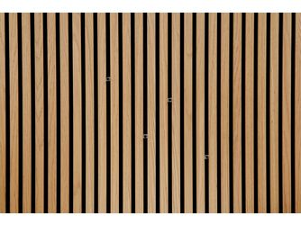 SilentDesign LivingWall Function Fixierpunkt/Schraube Hendrik