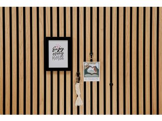 SilentDesign LivingWall Function Kunststoffknopf Dolf