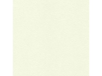 Standard HPL-Platte Frontweiss BS 2600x1300x0.8mm