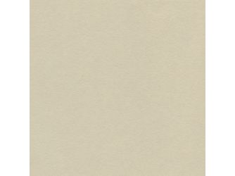 Standard HPL-Platte Light Beige VL 2600x1300x0.8mm